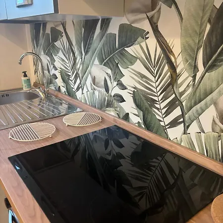 Corso Francia Apartment