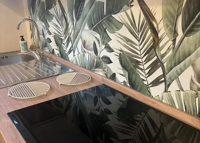 Corso Francia 公寓