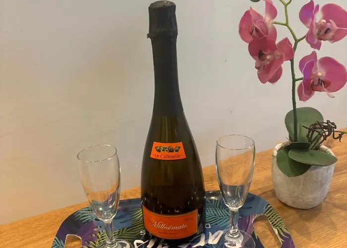 公寓 Corso Francia *